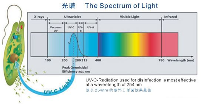 科普！紫外線殺菌燈對(duì)人體影響及正確使用方法